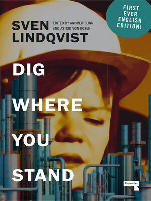 cover image of Dig Where You Stand